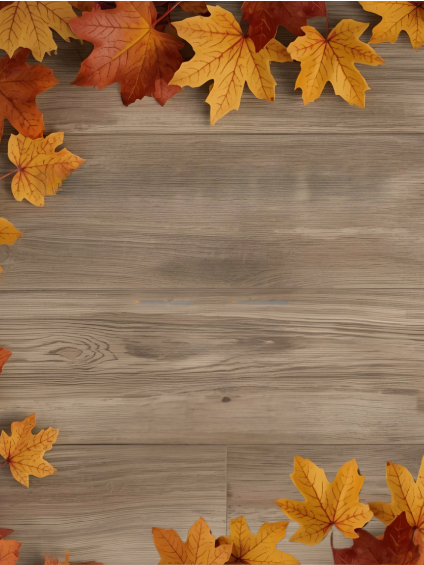 Dad pushing Daughter in Cardboard Box on Hardwood Floors
